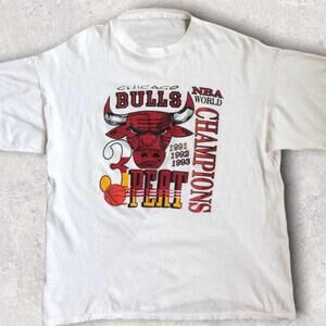 1993 Chicago Bulls 3 Peat World Champions T Shirt Tee